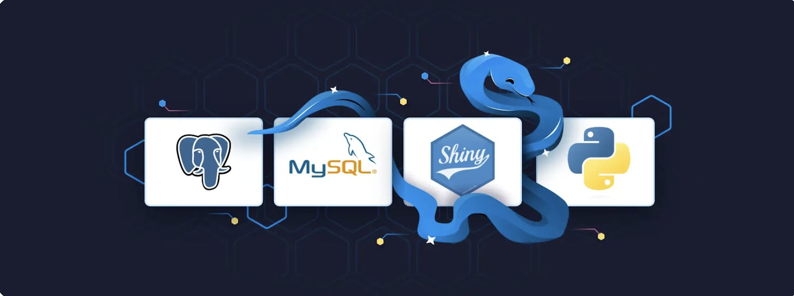 Shiny for Python: How to Work With MySQL and Postgres Databases