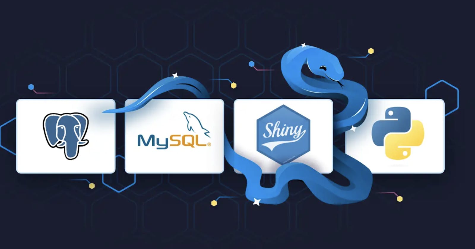 Shiny for Python: How to Work With MySQL and Postgres Databases