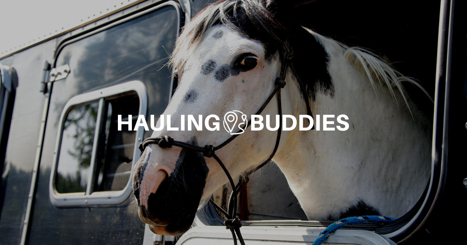 Horse Transport Regulations: Ensuring the Safety and Comfort of Your Equine Friend