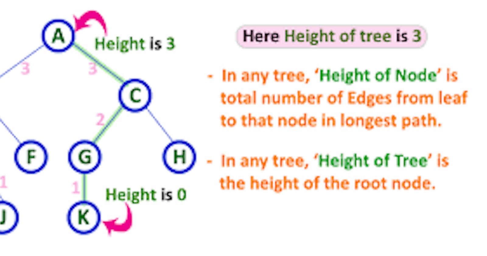 Height of the tree(data structure)