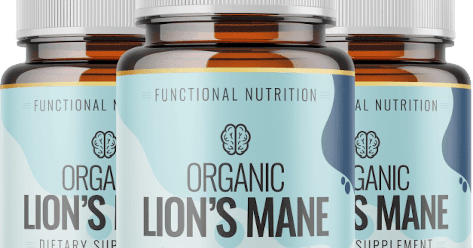 Nutritional Function Natural 60g Lion's Mane Mushroom