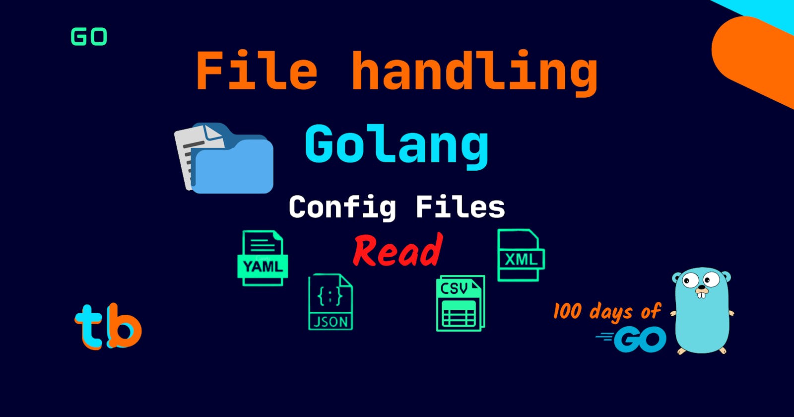 Golang: JSON YAML TOML (config) File Reading