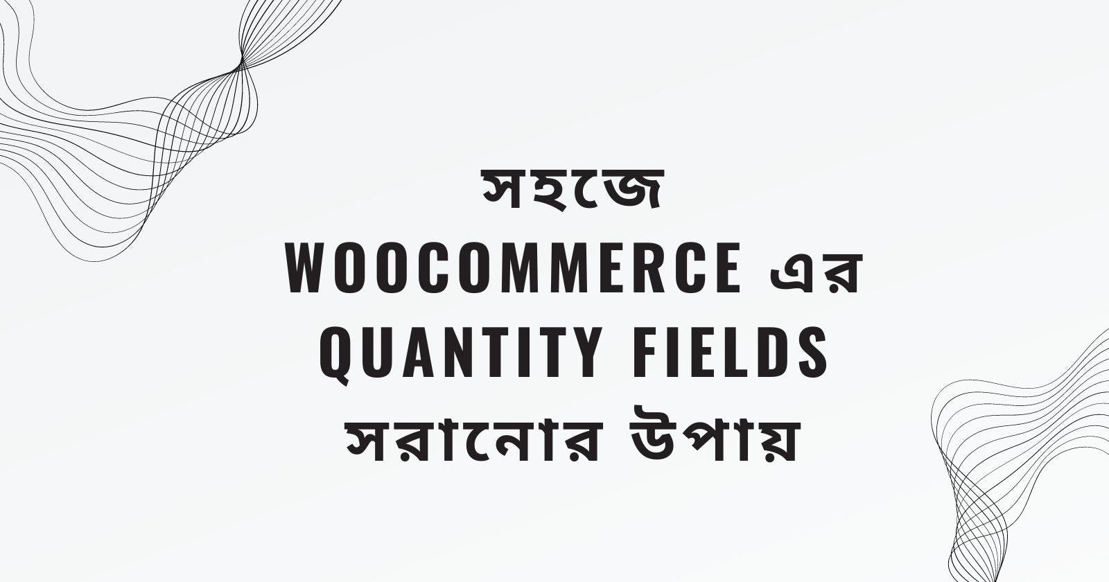 সহজে WooCommerce এর Quantity Fields সরানোর উপায়