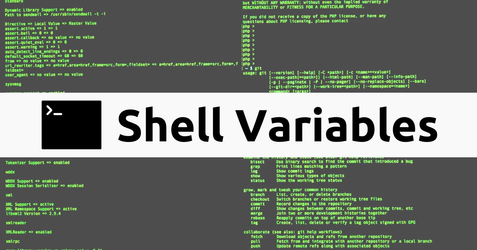 The Ultimate Guide to Shell Variables