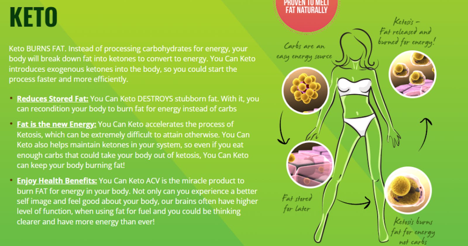 You Can Keto ACV Gummies Official Website?