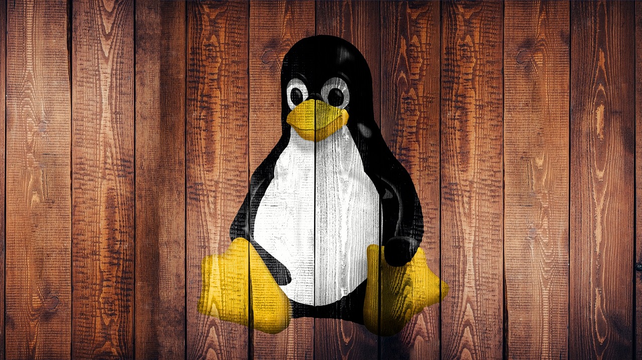 Discovering Linux:  A Brief Overview and History