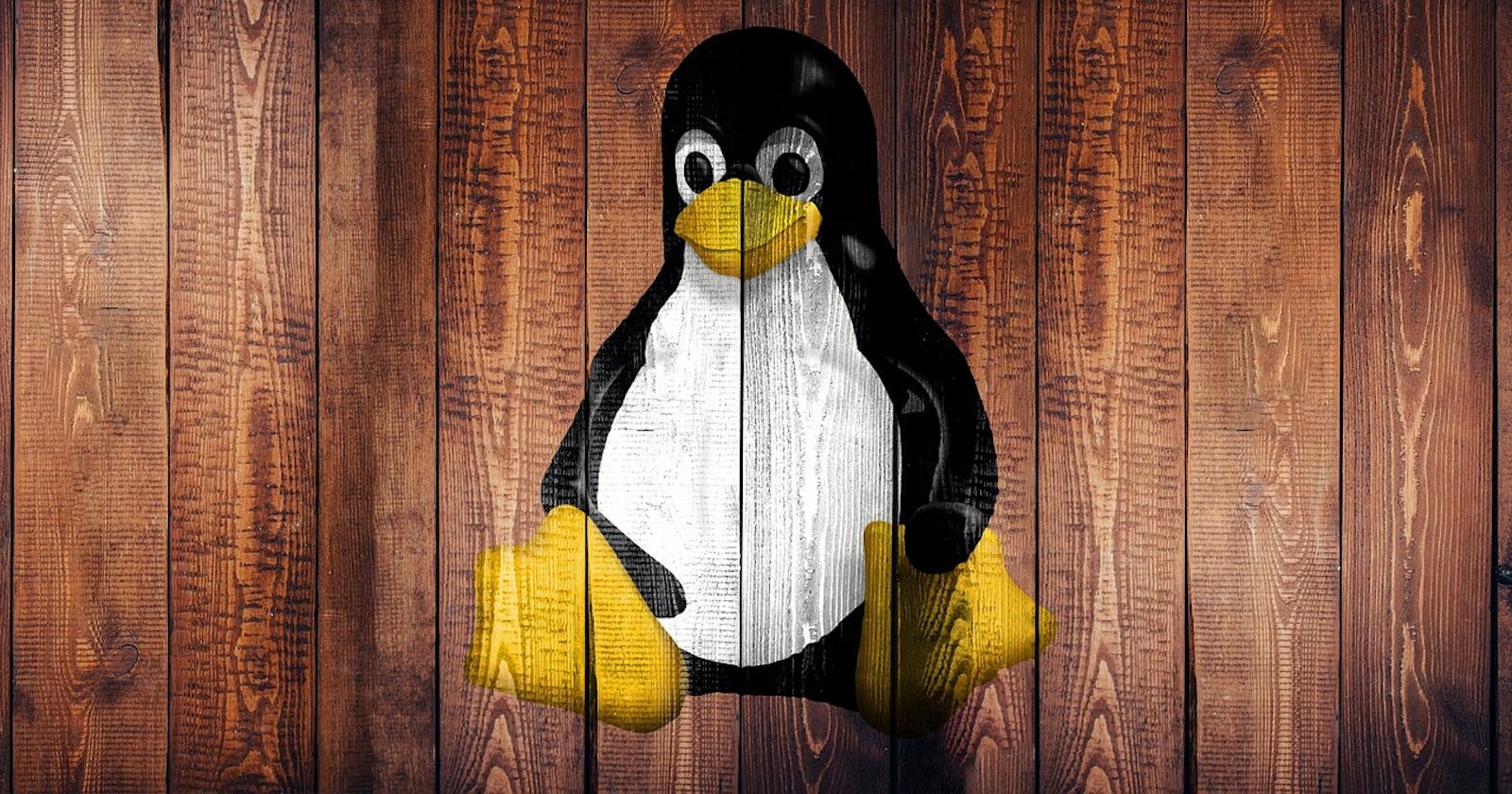 Discovering Linux:  A Brief Overview and History