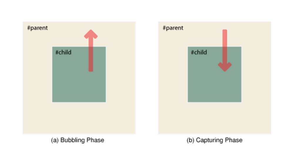 Understanding Event Bubbling and Capturing in JavaScript