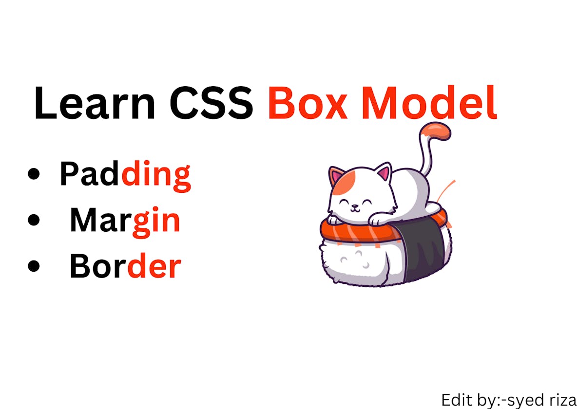 All About CSS Box Model (Padding, Margin, border)