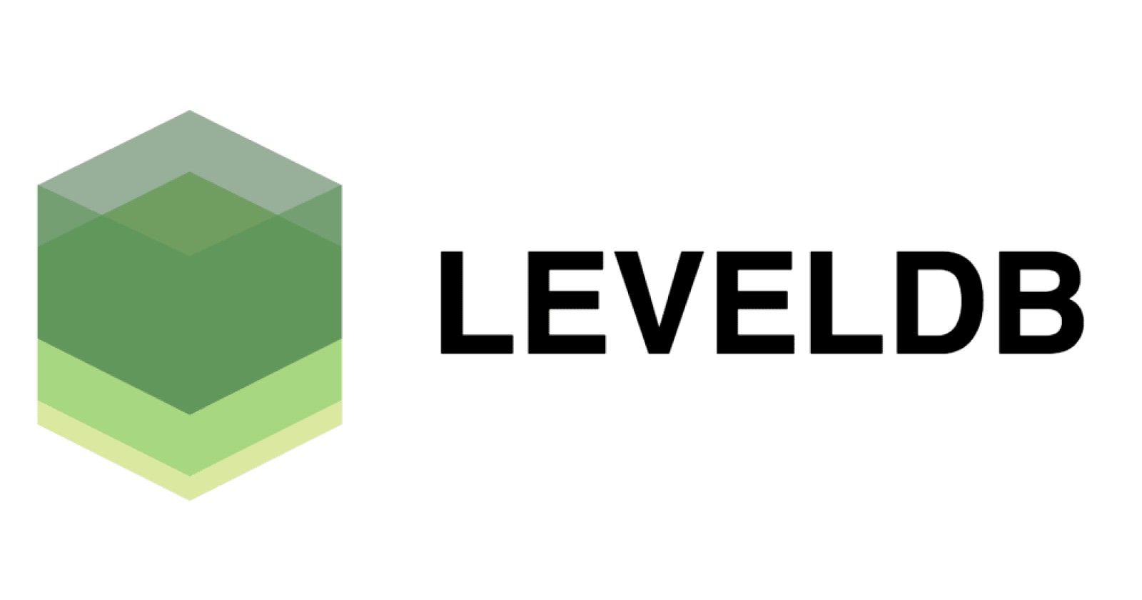 Why do cryptocurrencies use LevelDB?