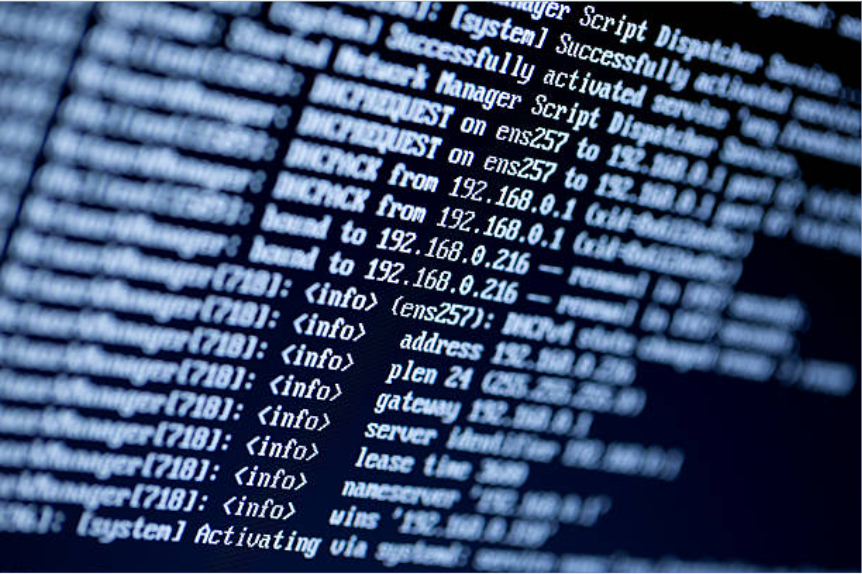 IP Addressing and the Role of ISPs, IANA, and DNS in Networking