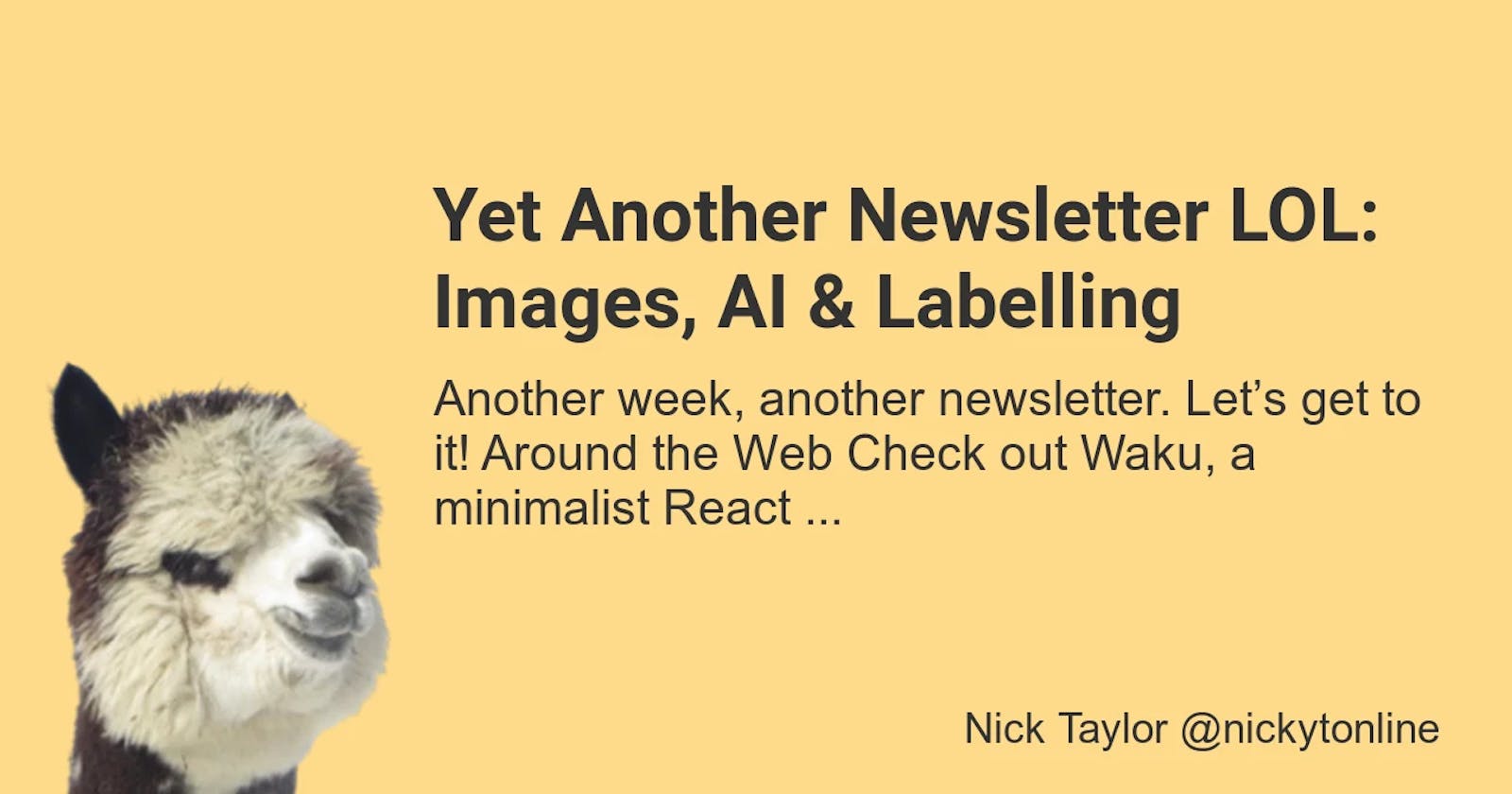 Yet Another Newsletter LOL: Images, AI & Labelling