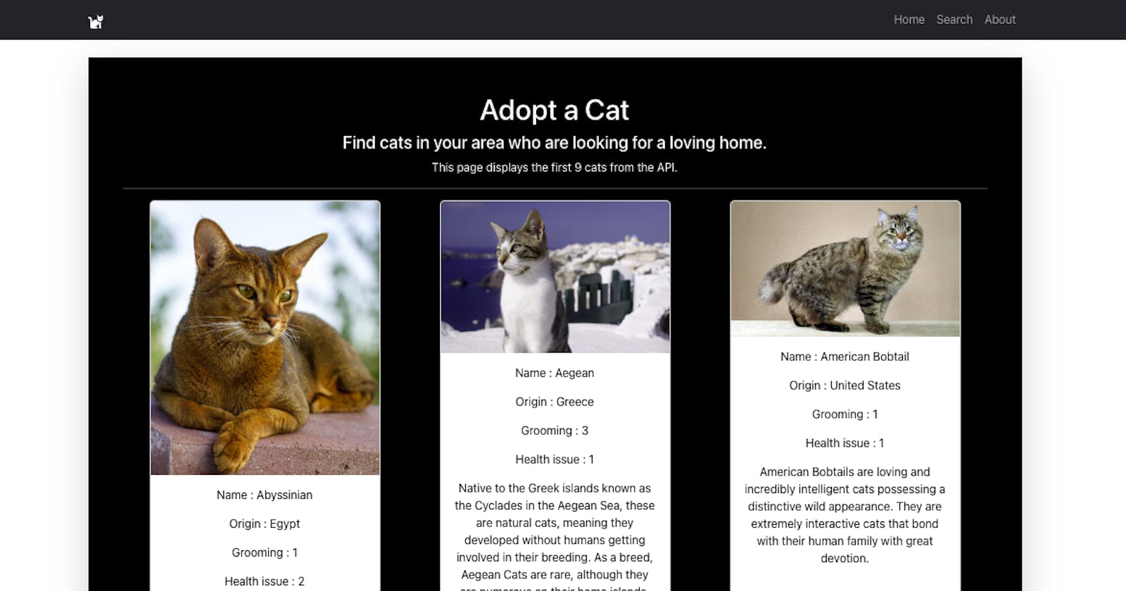 How I Created a Cat Adoption App Using React
