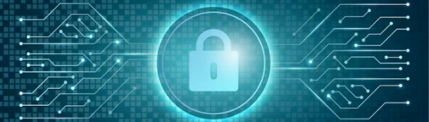 What Do You Learn In Cyber Security?