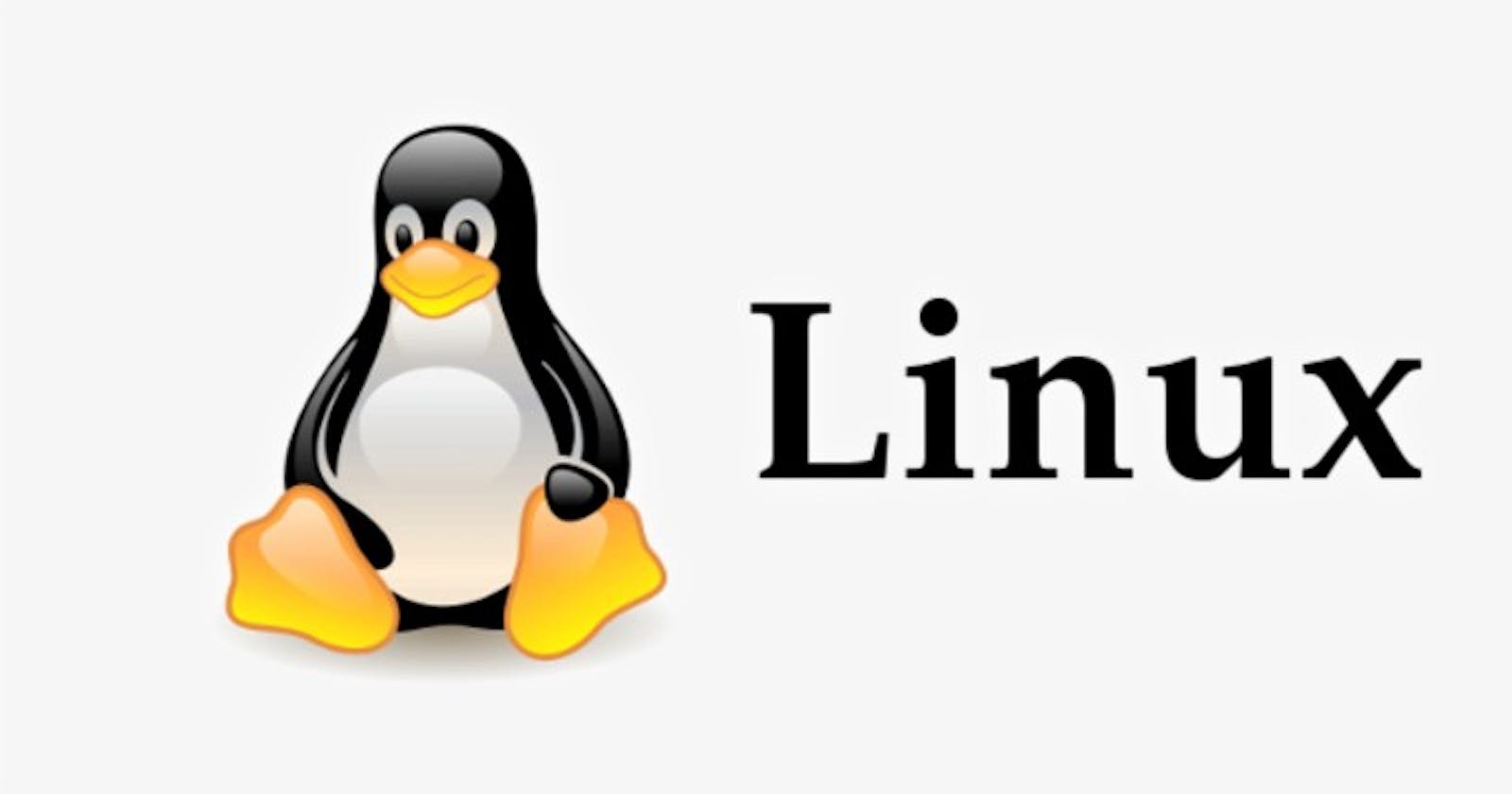 Linux File System Hierarchy