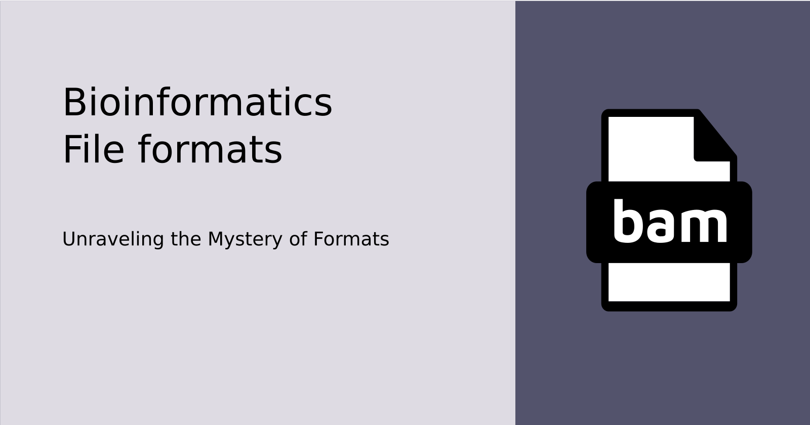 BAM Files: When Sequence Reads Match with References