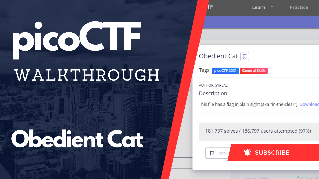 PicoCTF Walkthrough: Obedient Cat