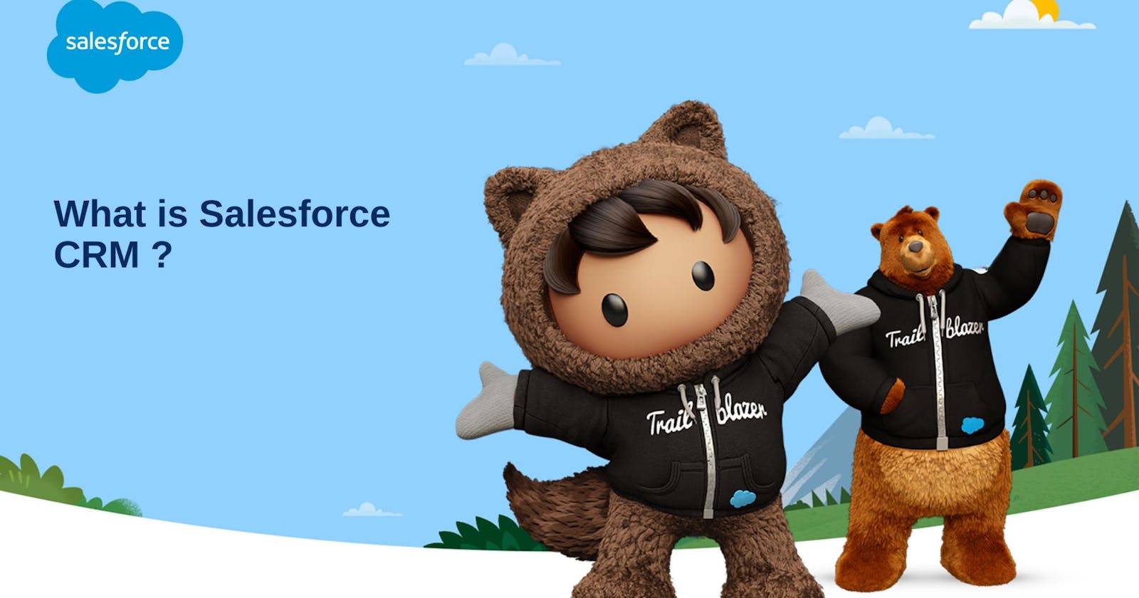 What is Salesforce CRM Application