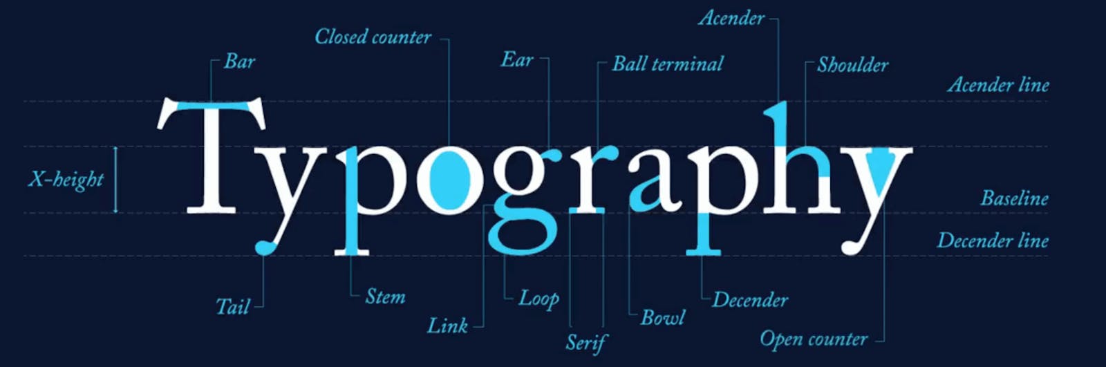 Typography:
