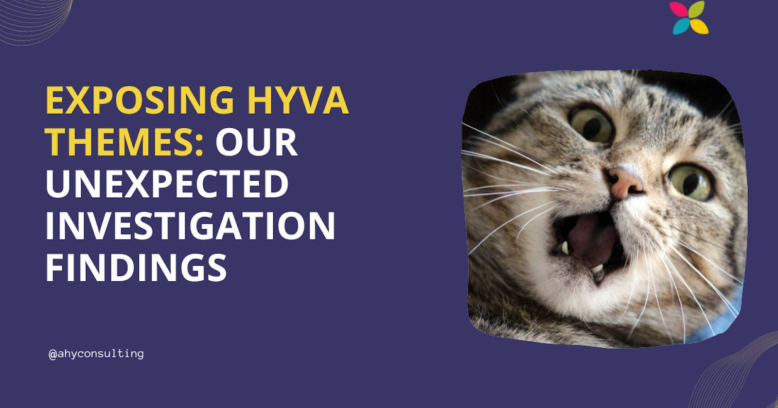 Exposing Hyvä Themes: Our Unexpected Investigation Findings