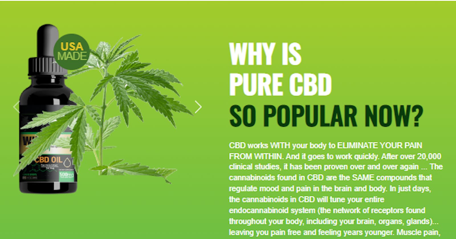 The Benefits of WholeLeaf CBD Oil: Natural Healing at Your Fingertips