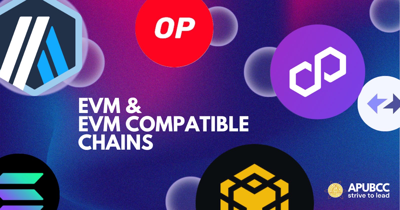 EVM and EVM Compatible Chains