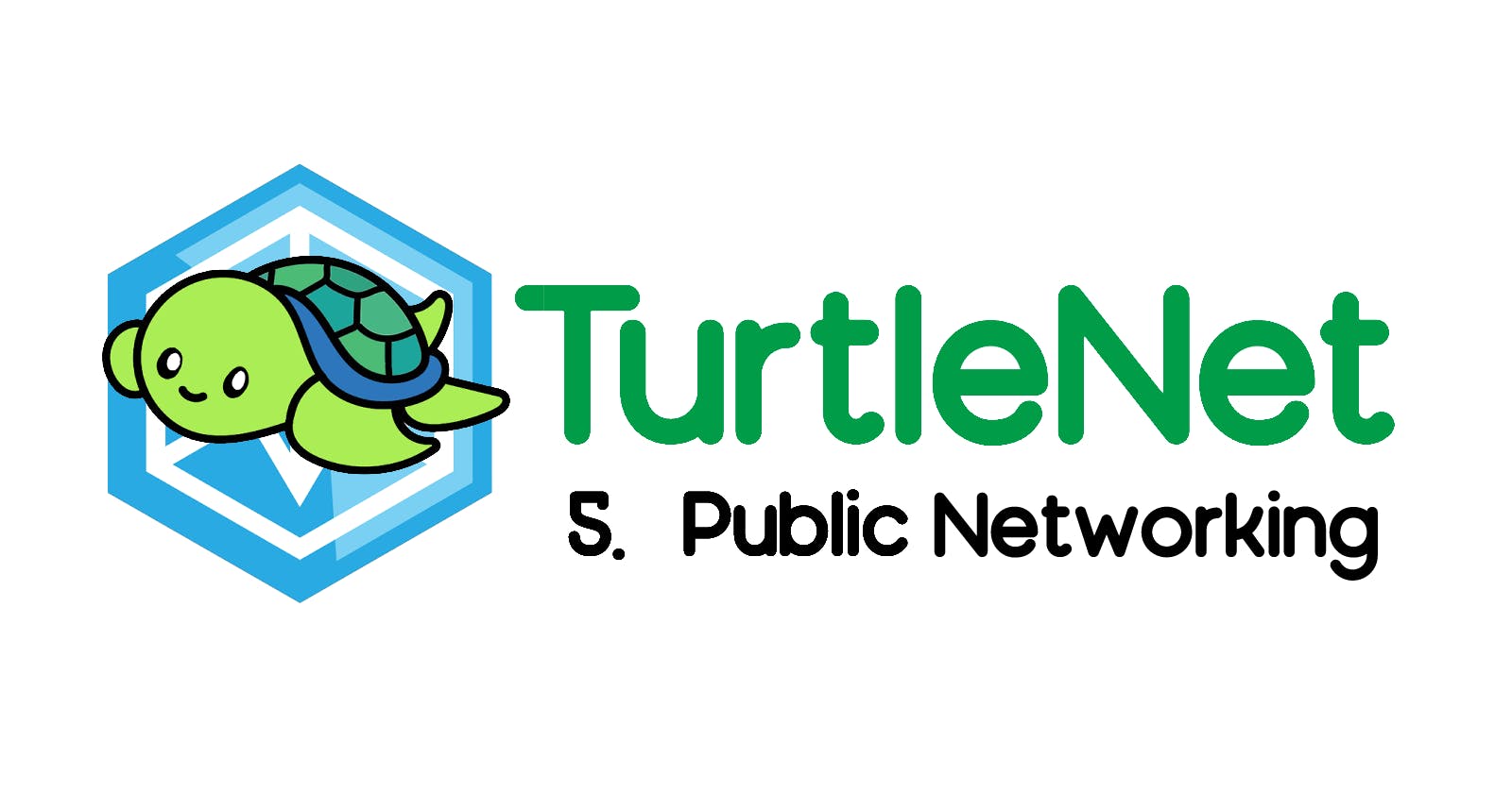 TurtleNet 5: Public Networking