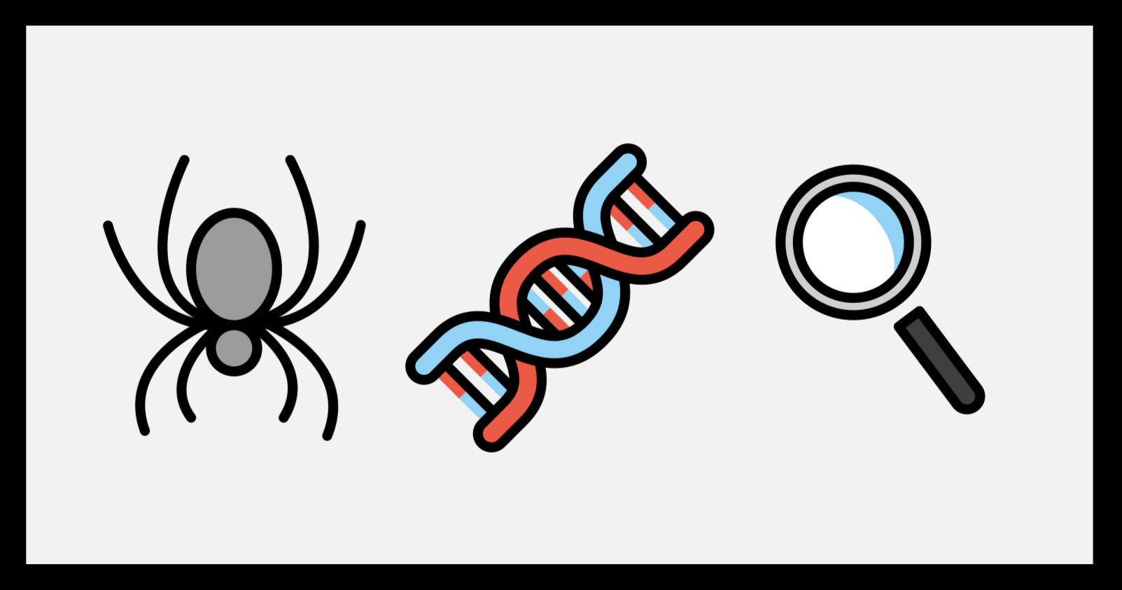 Exploring Spider Genomes: Assessing Assembly Completeness