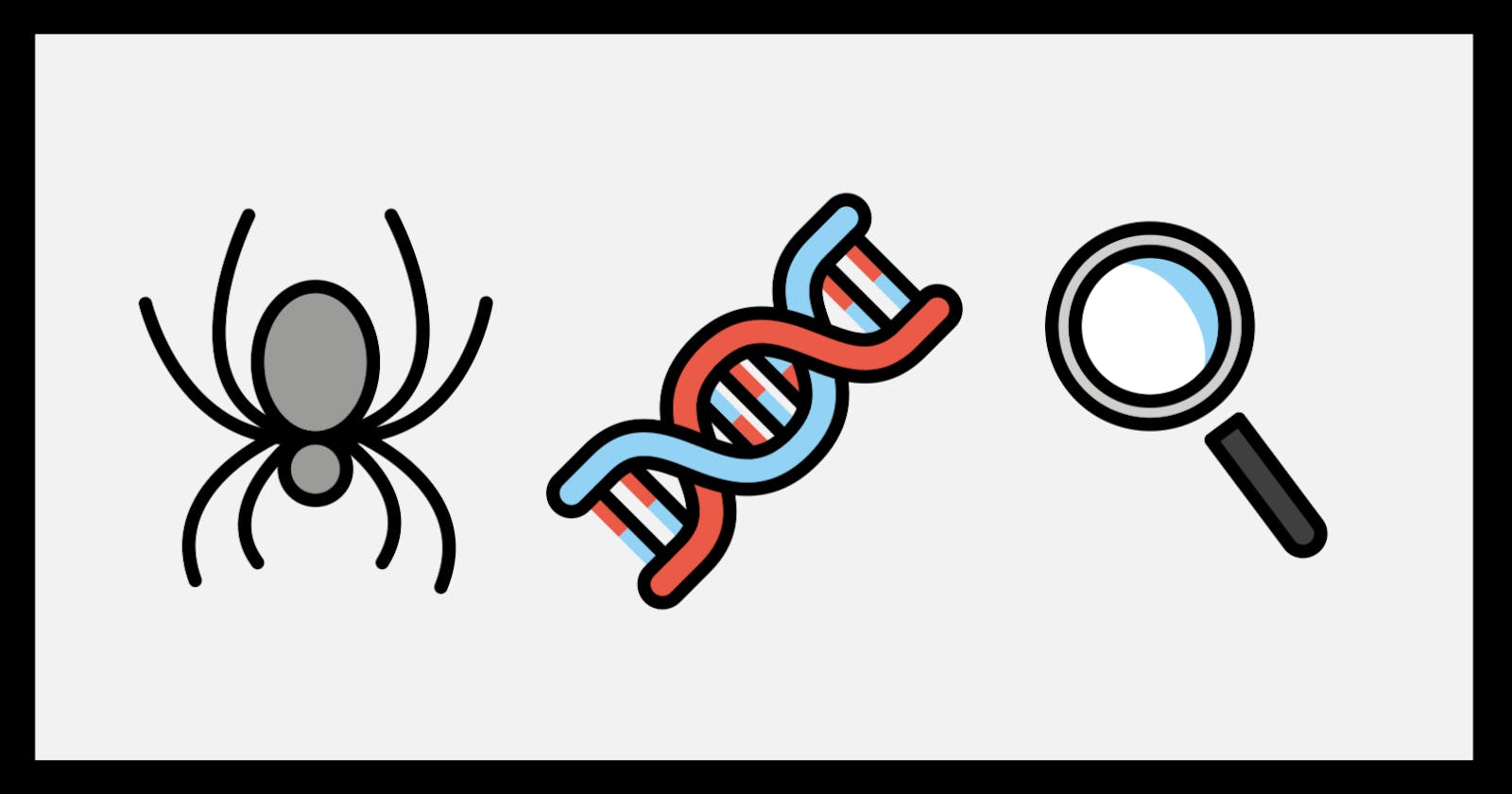 Exploring Spider Genomes: Assessing Assembly Completeness
