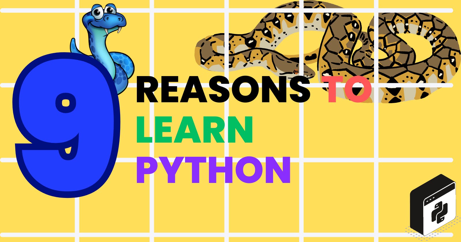 9  Reasons to Learn Python Programming