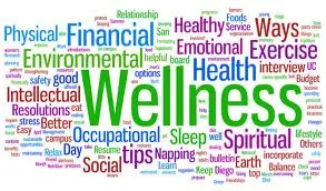 Cultivating Employee Well-being: The Rise of Wellness Programs and Mindfulness in Sydney
