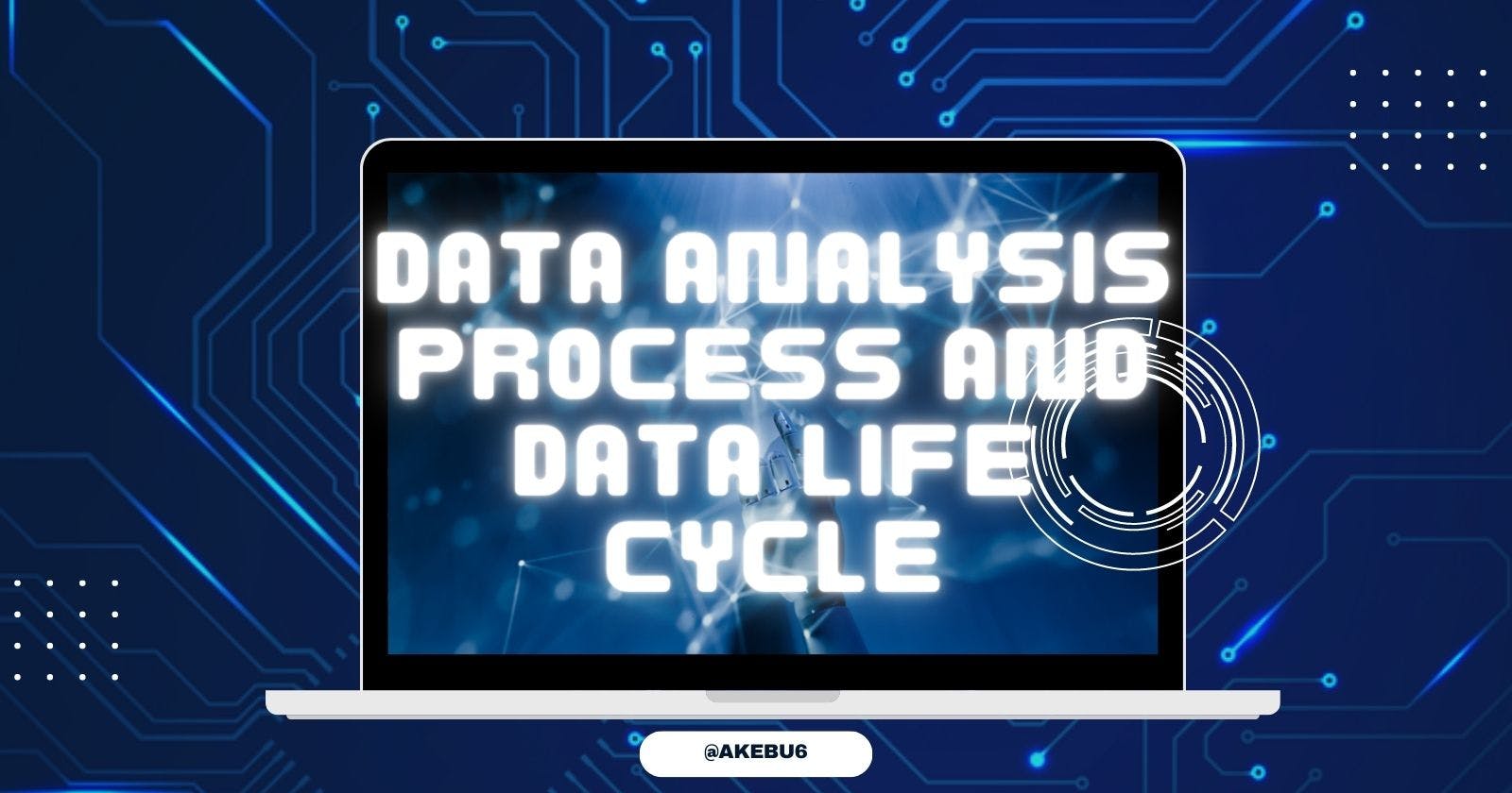 Data Analysis Process and Data Life Cycle