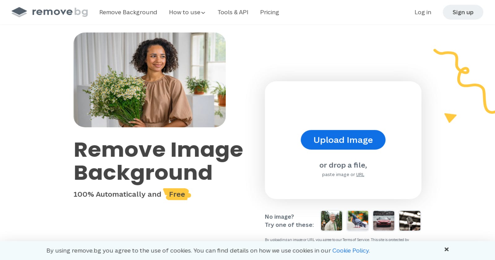 Remove.bg - Effortlessly Remove Background from Images for Free