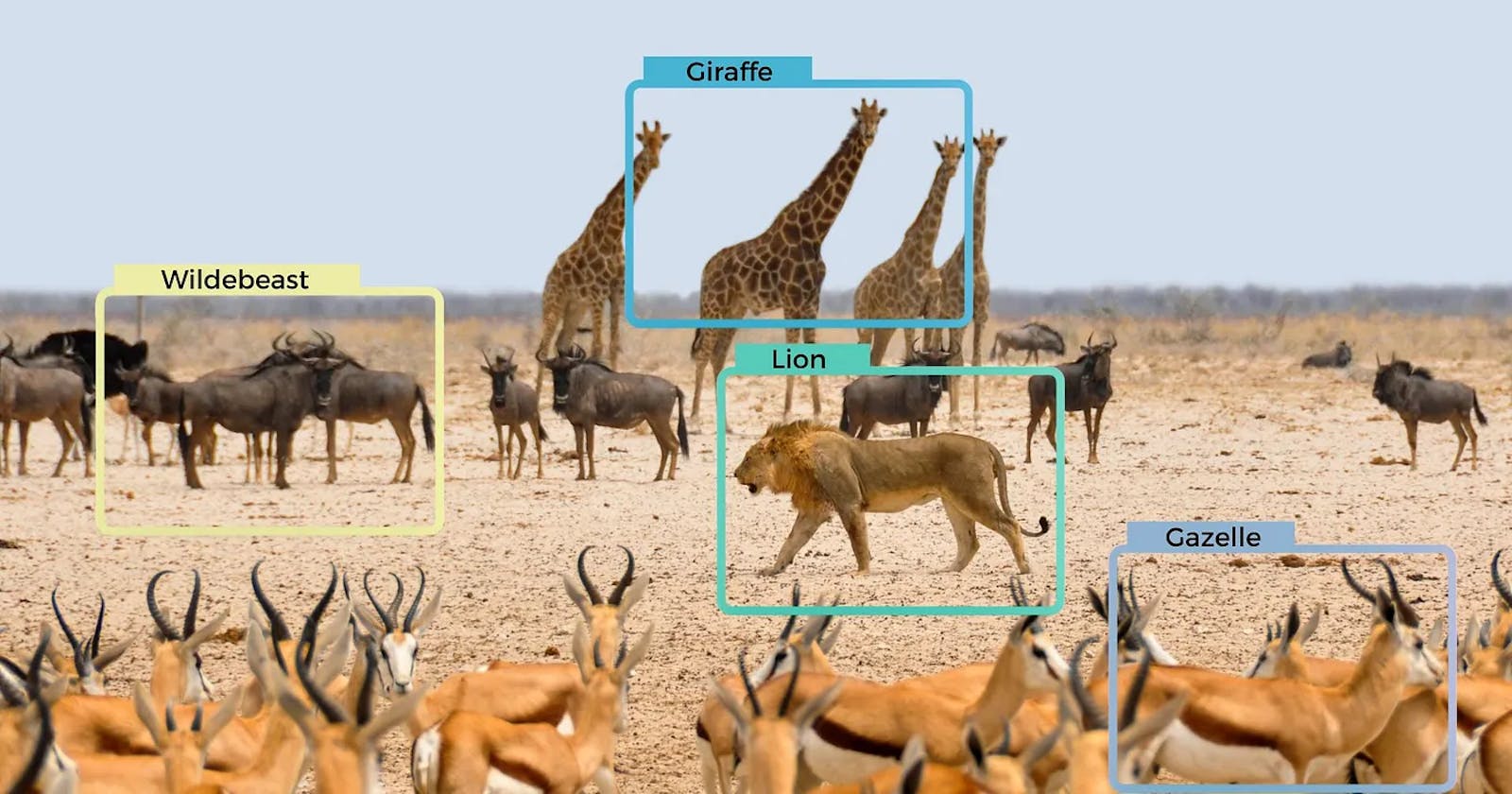 Unlocking the Power of Object Recognition API: A Beginner’s Guide