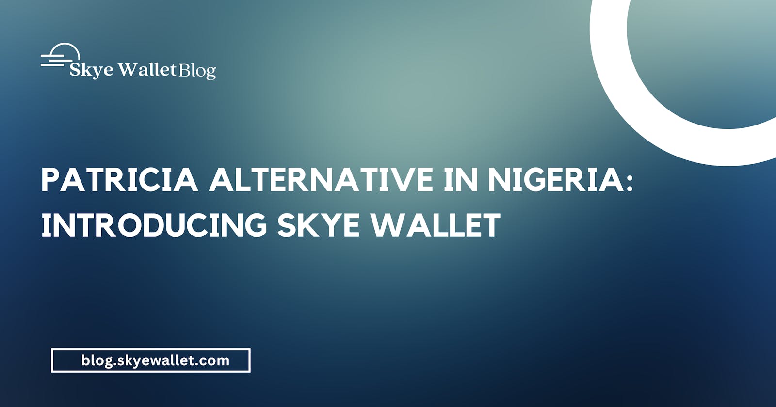 Patricia Alternative in Nigeria: Introducing Skye Wallet
