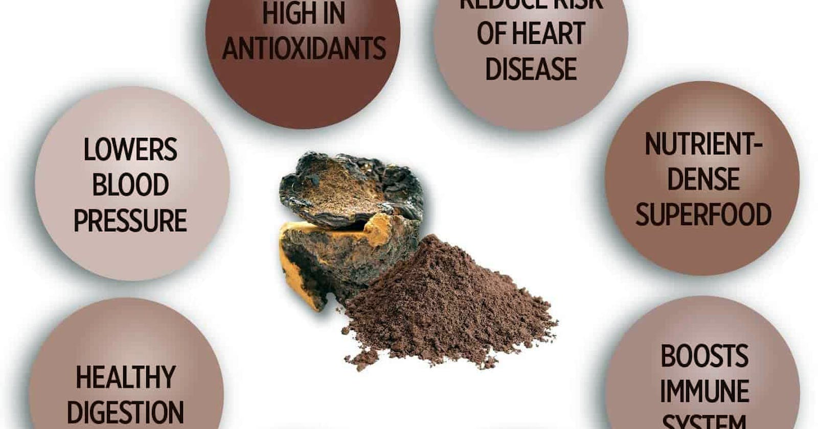 100% Natural Superfood Chaga Mushroom Powder Nourish the Skin and Hair Cancer Prevention Free Shipping