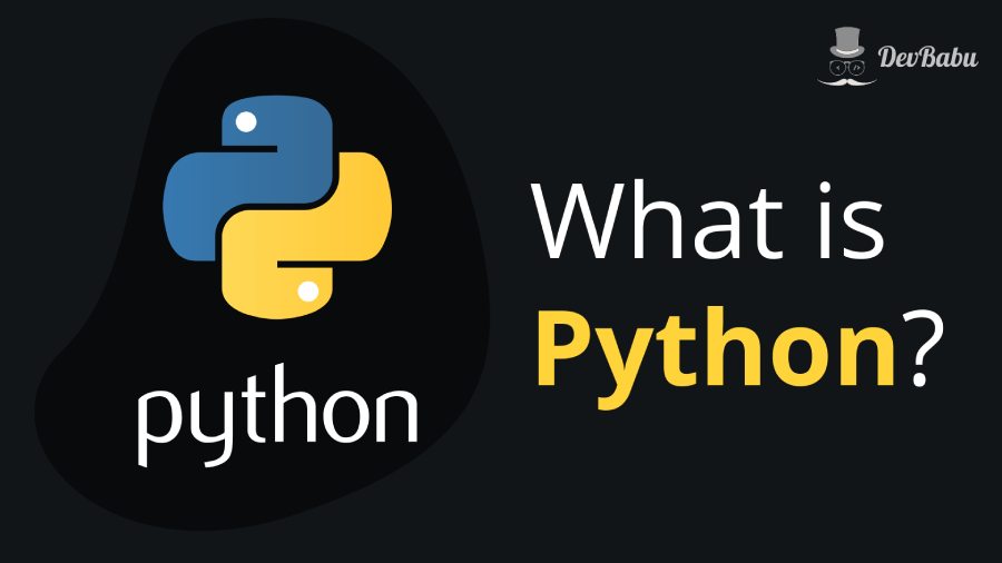 Day:13 Basic Python and Different Data Types in Python :Part-1