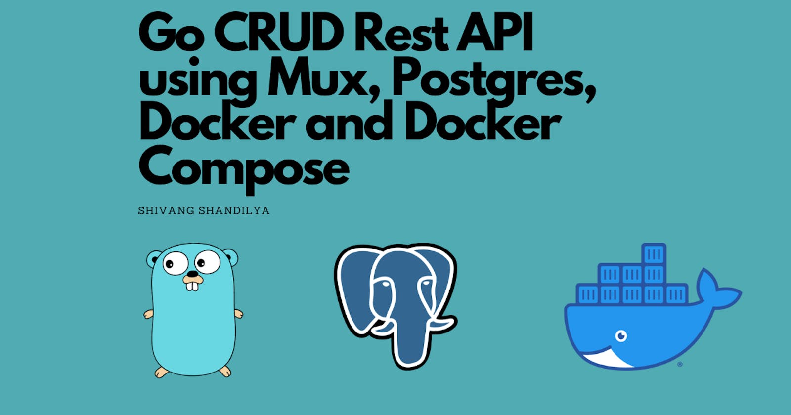 Building a GO CRUD Rest API from scratch