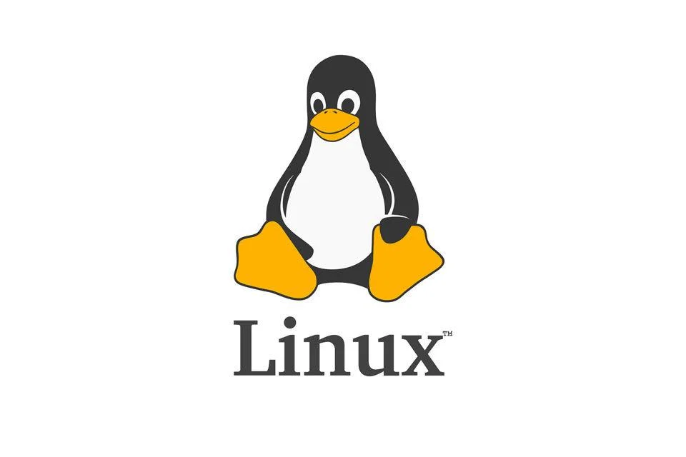 Basic Linux Commands