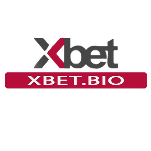 XBet's photo