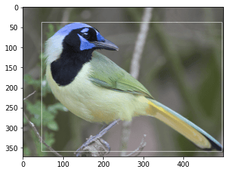 One bird siting one tree, and my yolov8 mode detect