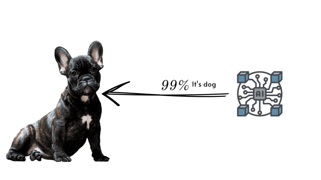 One dog computer vision model classfied 