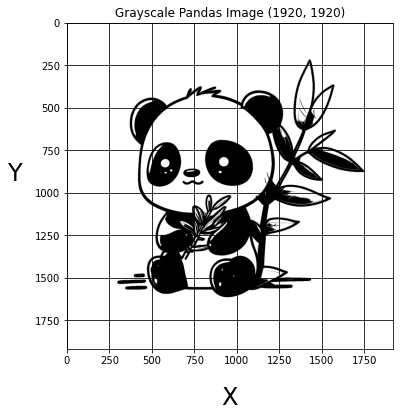 grayscale panda image