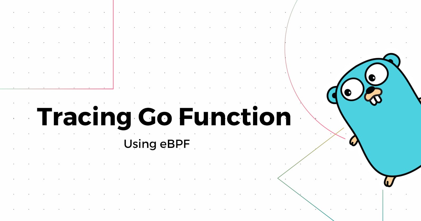 Tracing Go Function Arguments in Production