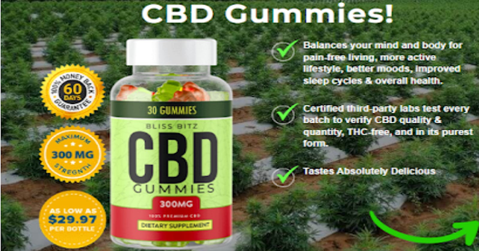 Bliss Blitz CBD Gummies Canada
 [is fake or Real?] Read About 100% Natural Product?