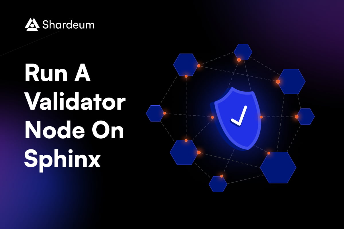 How to Become a Validator and Help Shape the Future of Shardeum