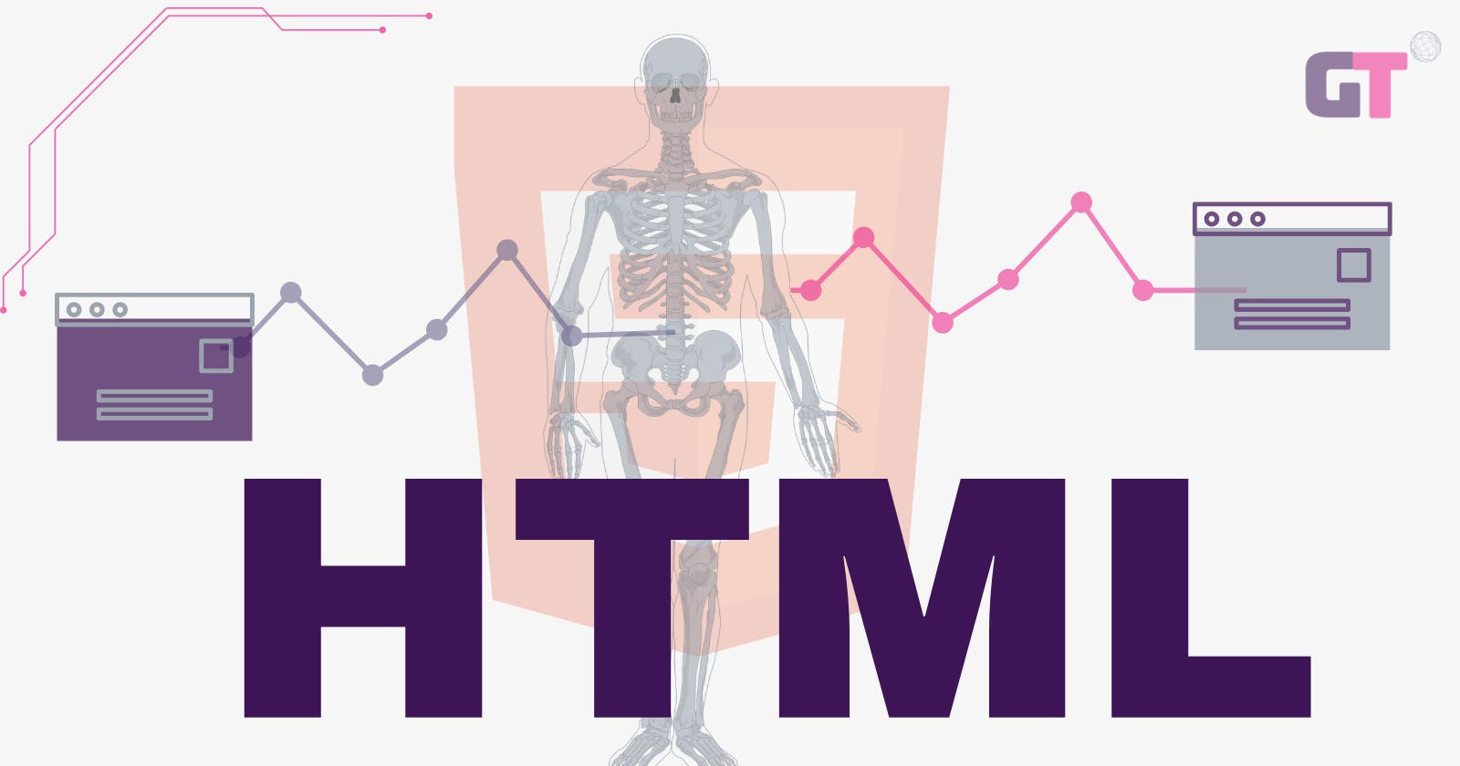 HTML: The skeleton of every webpage 🖥💀