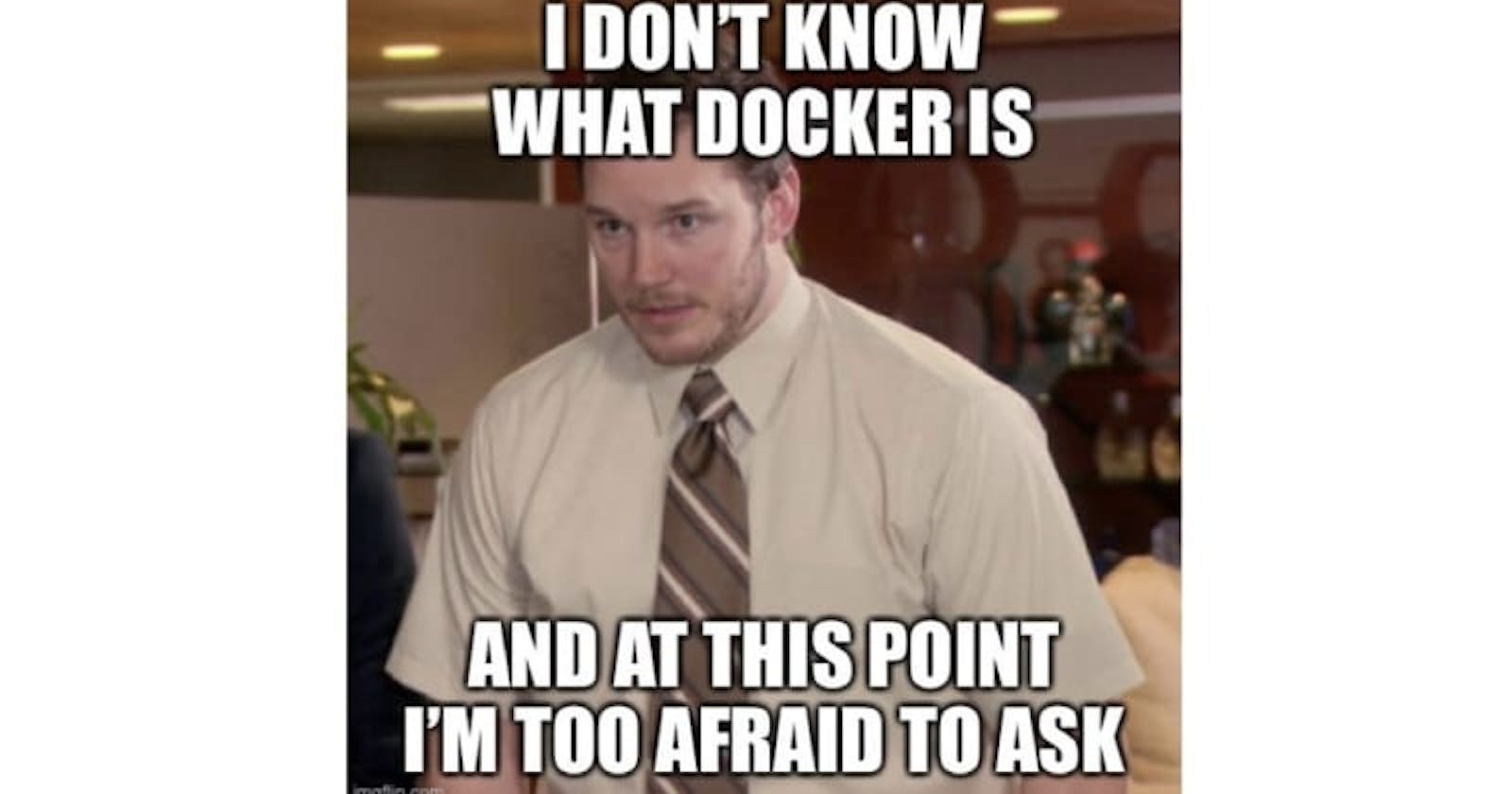 An “I don’t know what Docker is and at this point I’m too afraid to ask” guide to Docker.