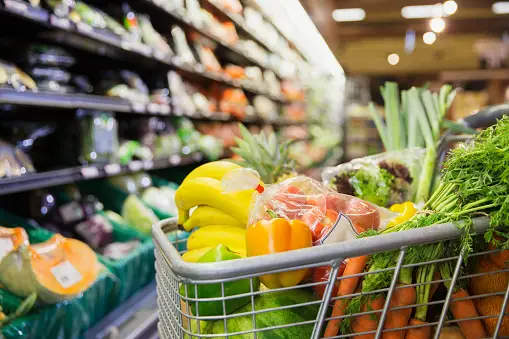 "Sustainable Farming Practices: Role of Organic Pesticides in the Market"