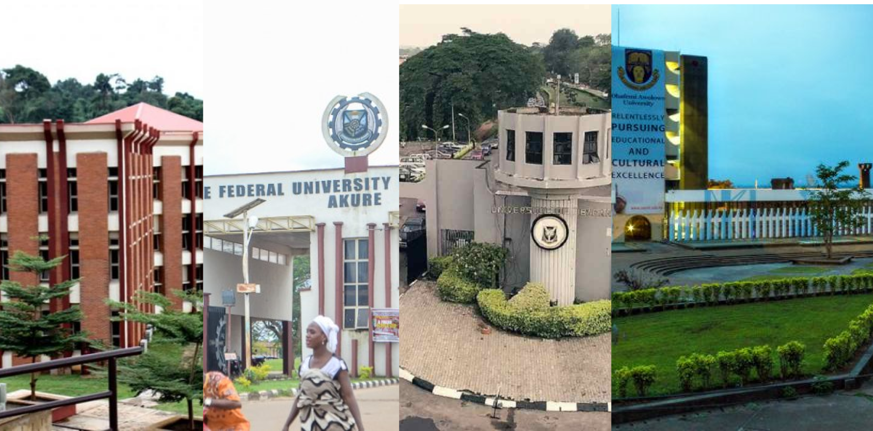 0 - Introduction to Nigerian Schools API